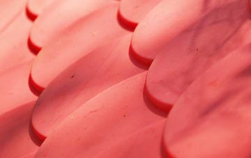 Boars Head plastic roof costs